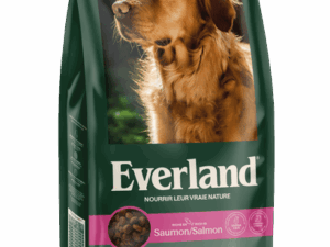 EVERLAND ADULT SAUMON 10KG