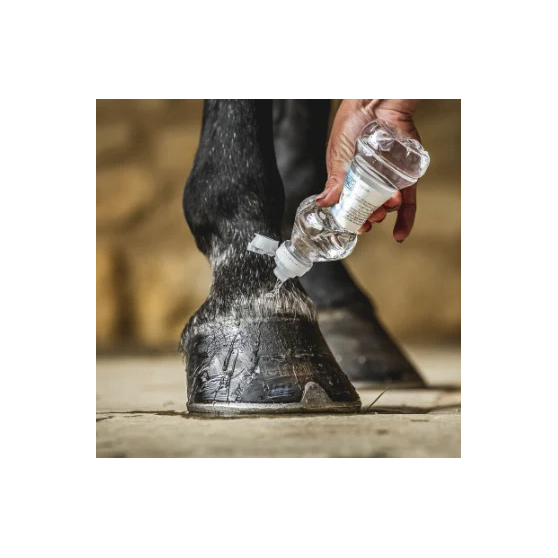 Huile pour sabots Carr & Day 500ML – Image 2